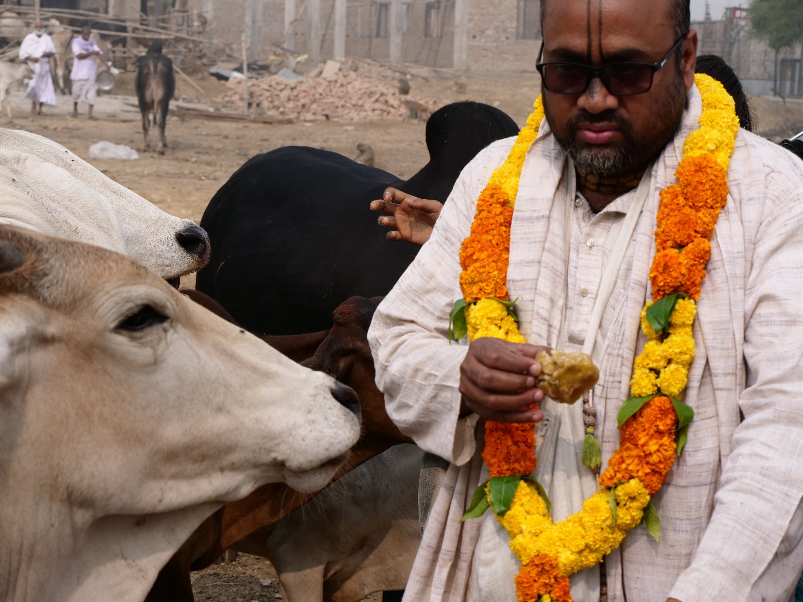  205 Gopashtami Radha kunda Govardhan 19.11.04